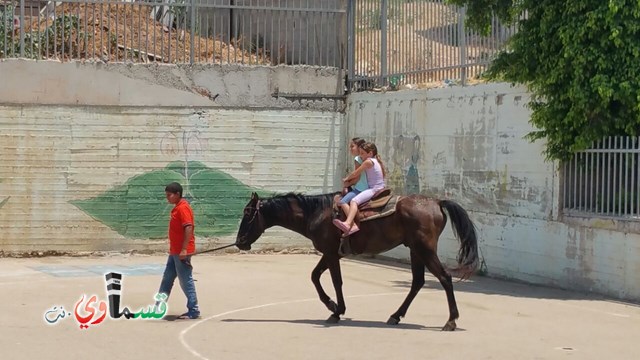 كفرقاسم - فيديو  : تعليم هواية ركوب الخيل في مدرسة جنة ابن رشد في اليوم الرابع لصيف الصادقة 